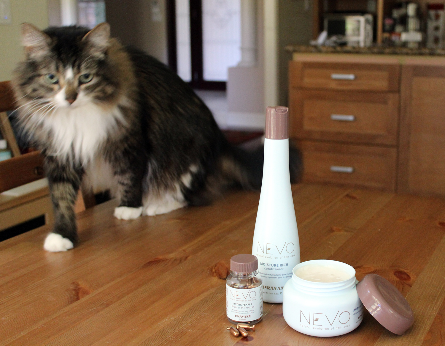 Pravana S Vegan Hair Care Line Nevo Vegan Beauty Review Vegan