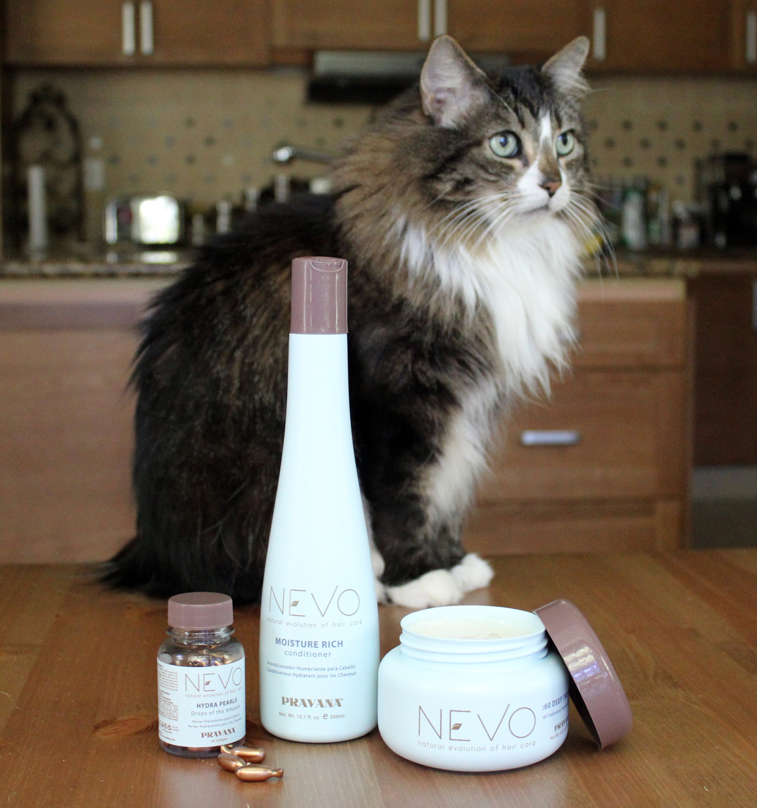 Pravana S Vegan Hair Care Line Nevo Vegan Beauty Review Vegan